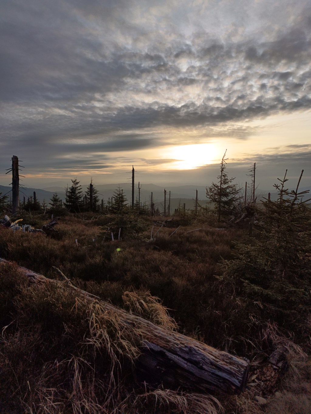 Zielono mi… i spokojnie PART&nbsp;2.